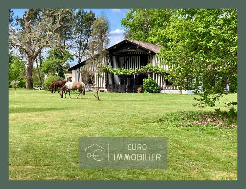 Maison - 220 m² - 7 pièces