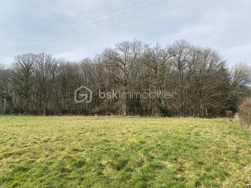 Maison ancienne - 205 m² - 9 pièces