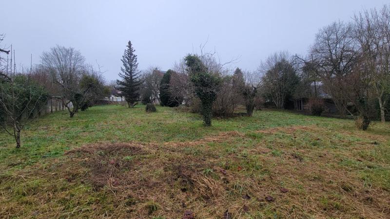 Terrain - 1 256 m²