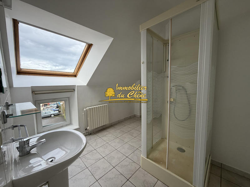 Appartement - 55 m² - 2 pièces