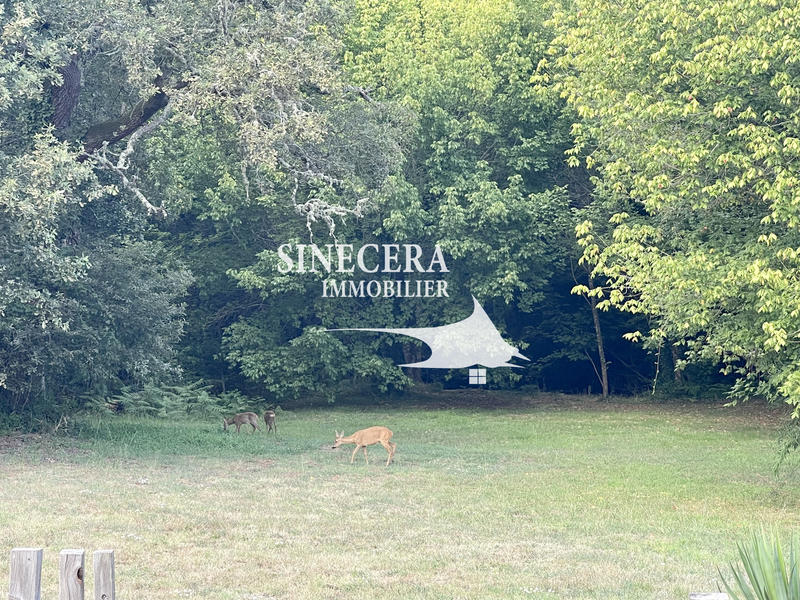 Propriété - 120 m² - 5 pièces