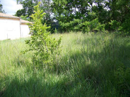Terrain constructible - 600 m²