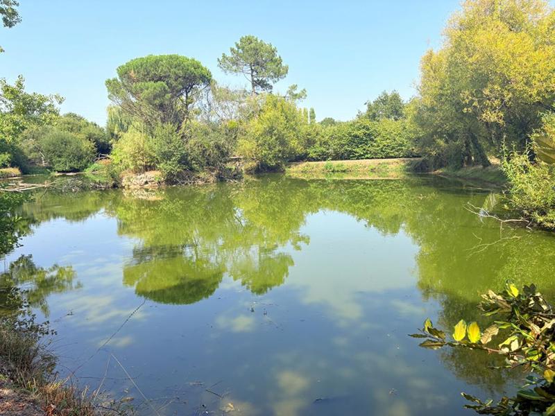 Maison - 145 m² - 7 pièces