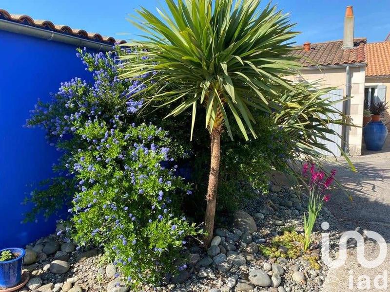 Maison - 223 m² - 6 pièces