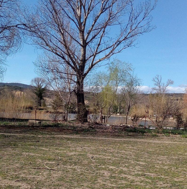 Terrain de loisirs - 8 000 m²