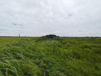 Terrain agricole - 17 003 m²