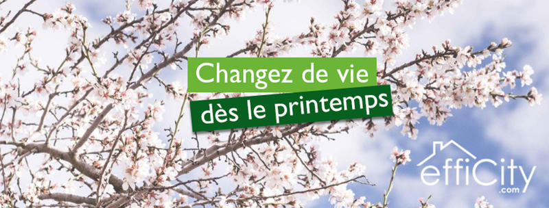 Appartement - 66 m² - 4 pièces