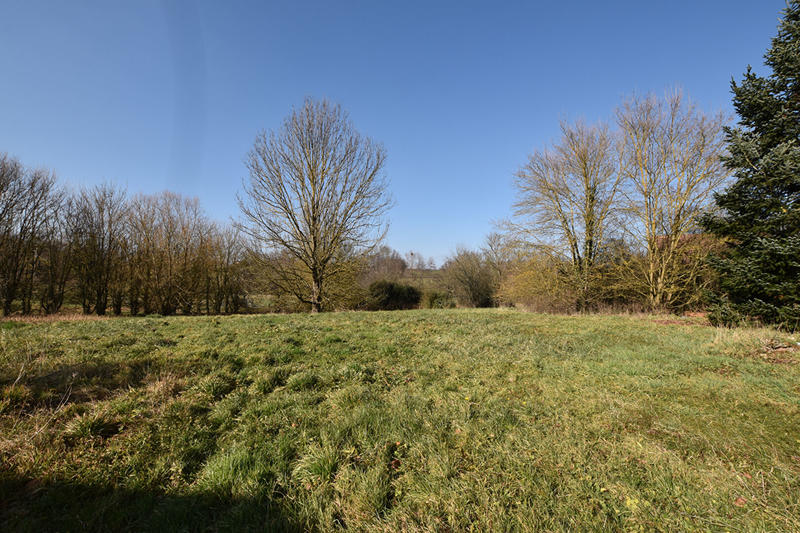 Corps de ferme - 357 m² - 14 pièces