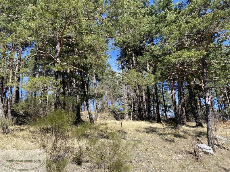 Terrain de loisirs - 16 596 m²