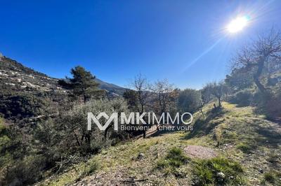 Terrain - 1 403 m²