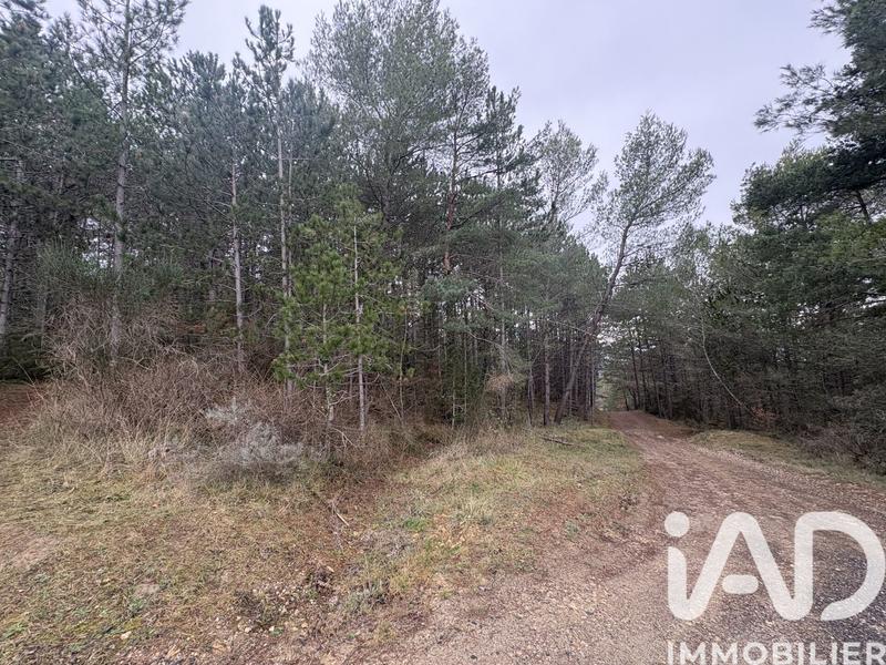 Terrain - 240 000 m²