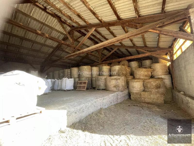 Magasins - 269 m² - 11 pièces