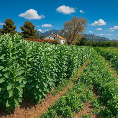 La ferme des roselières