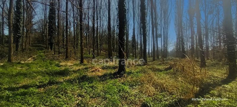 Terrain de loisirs - 18 756 m²