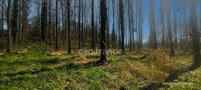 Terrain de loisirs - 18 756 m²