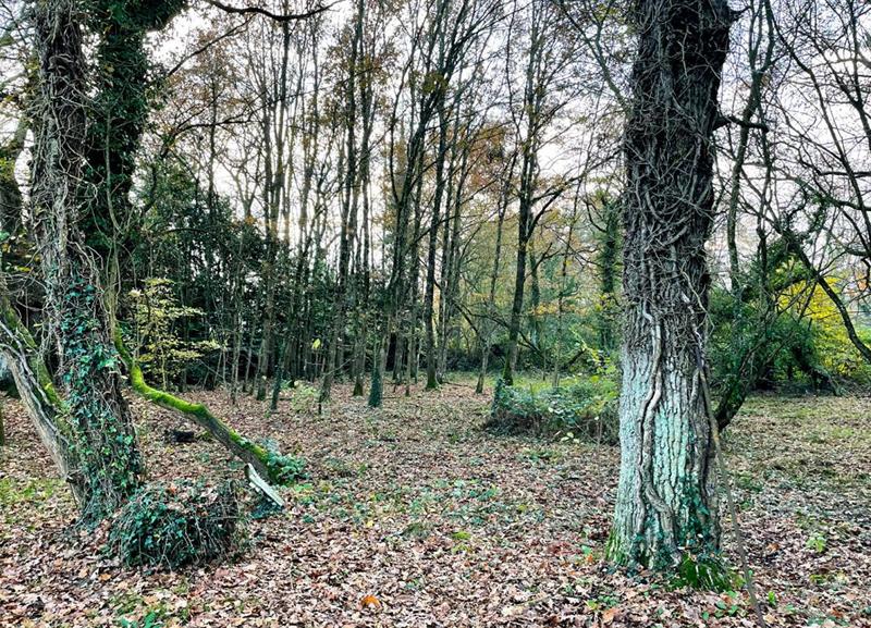 Terrain de loisirs - 8 950 m²