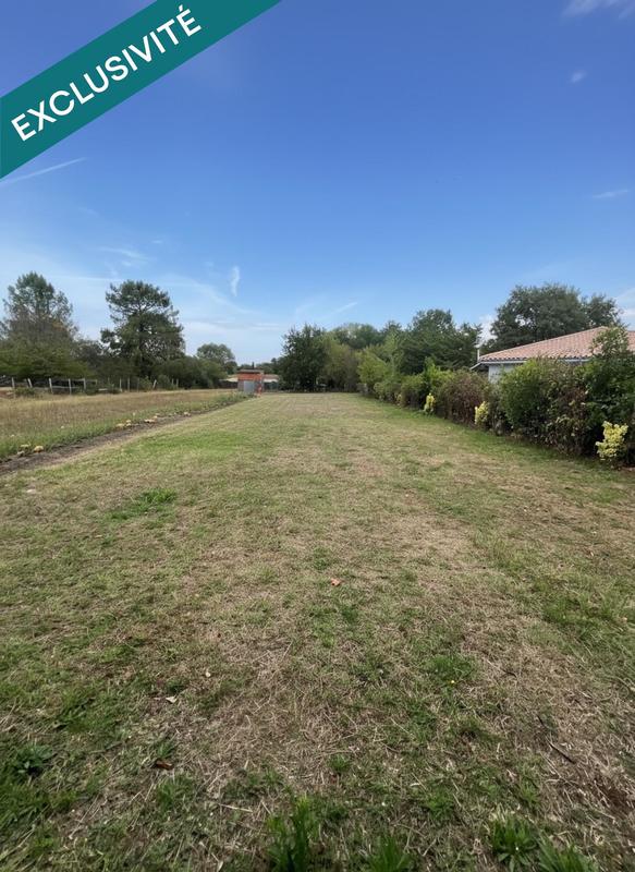 Local commercial - 2 505 m² - 2 pièces