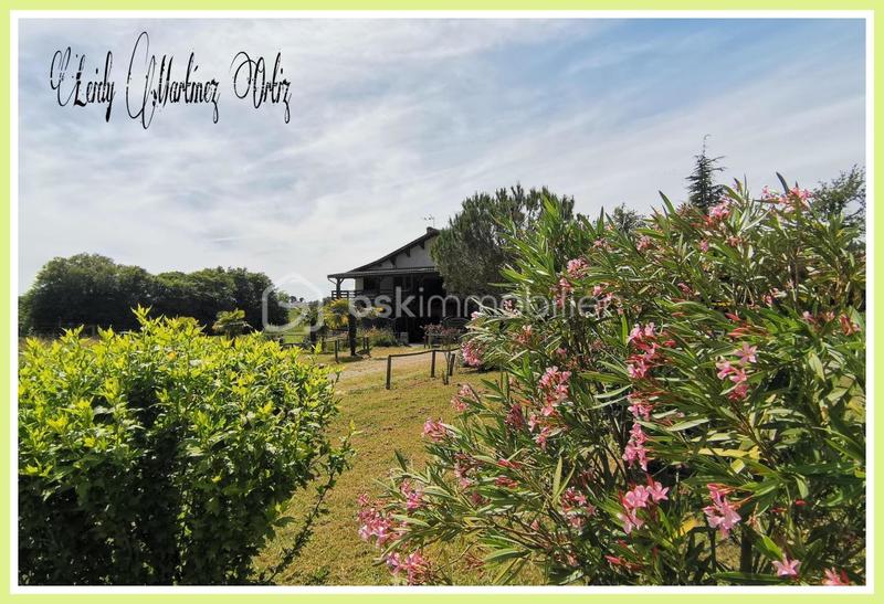 Immeuble - 300 m² - 15 pièces