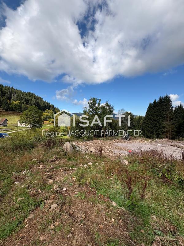 Terrain - 10 875 m²