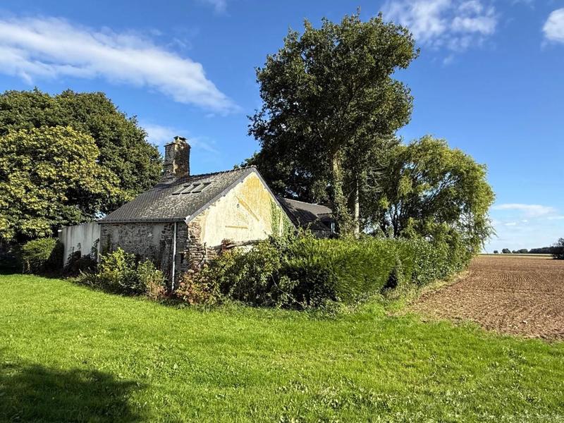 Maison en pierre - 205 m² - 8 pièces