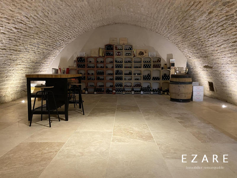 Maison - 600 m² - 13 pièces