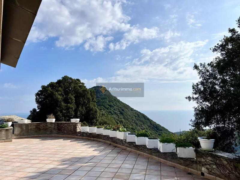 Maison - 381 m² - 12 pièces