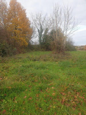 Maison - 215 m² - 3 pièces