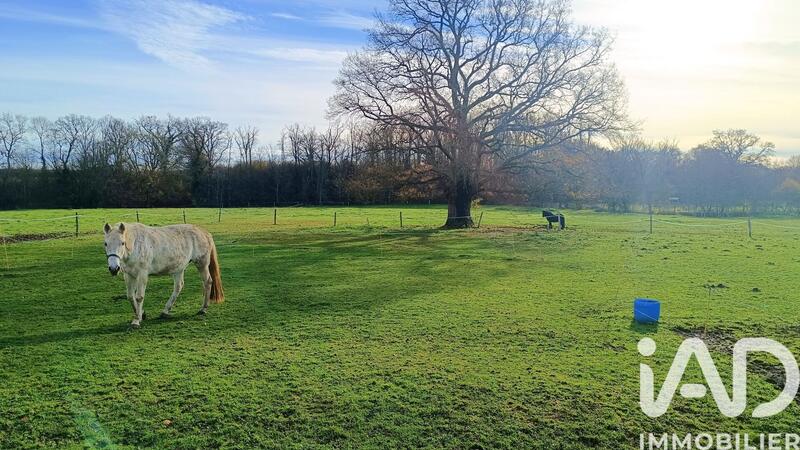 Maison - 232 m² - 11 pièces