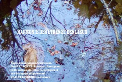 David Flacher Soins énergétiques Saint Etienne