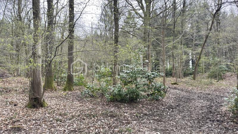 Terrain de loisirs - 96 594 m²