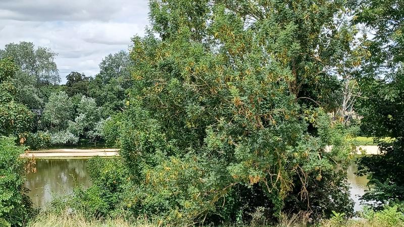 Maison ancienne - 177 m² - 7 pièces