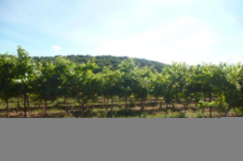 Bastide - 200 m² - 5 pièces