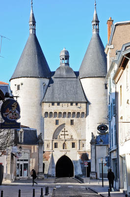 Les puces en vieille ville