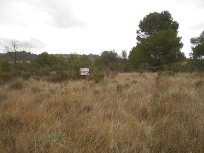 Terrain de loisirs - 2 180 m²