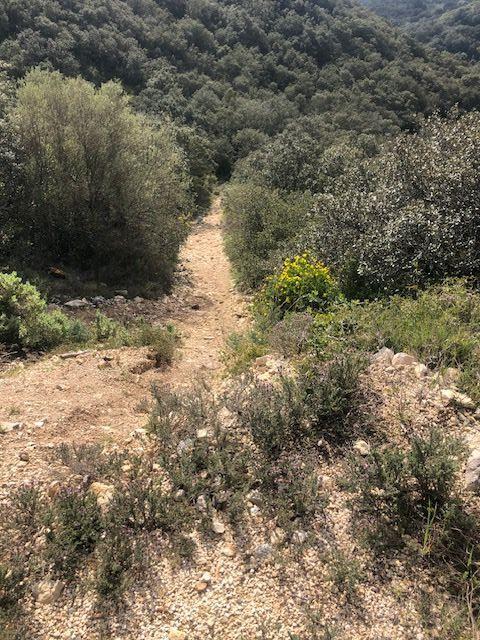 Terrain - 11 260 m²