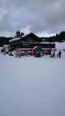 Bureau - 100 m² - 3 pièces