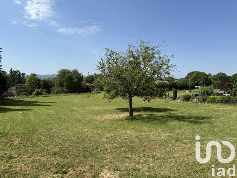 Terrain - 3 650 m²