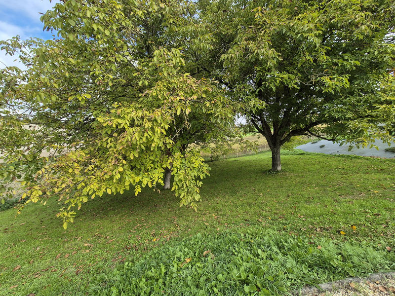 Propriété - 205 m² - 8 pièces