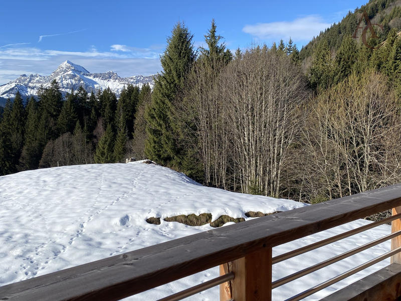 Châlet - 400 m² - 8 pièces