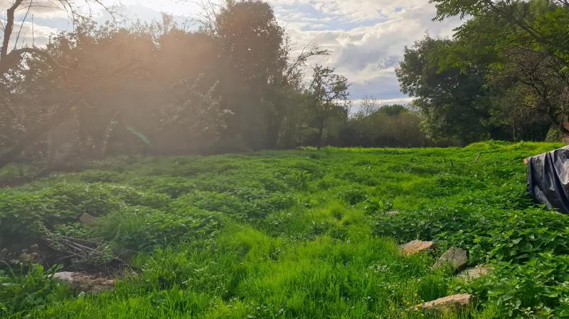 Maison - 200 m² - 6 pièces