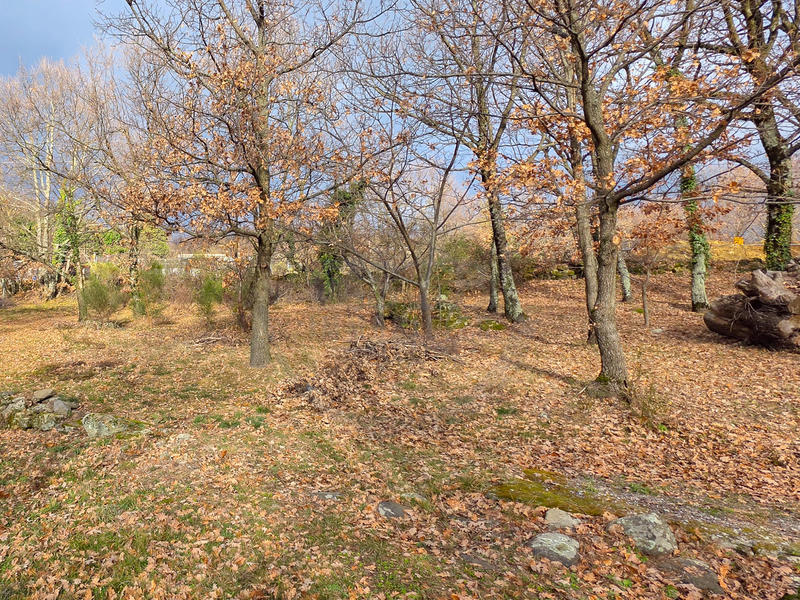 Terrain - 1 492 m²
