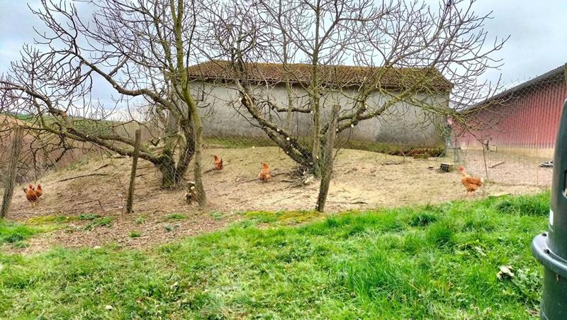 Corps de ferme - 230 m² - 5 pièces