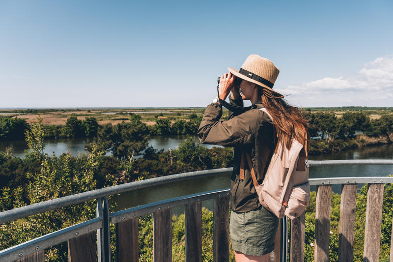 Visite guidée de la réserve ornithologique à pied et de son delta en canoë collectif