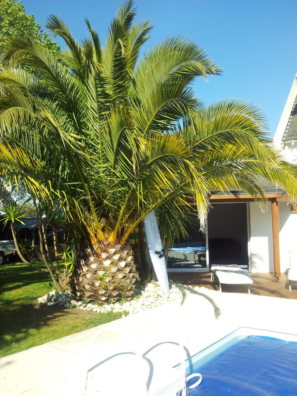 Maison - 184 m² - 10 pièces