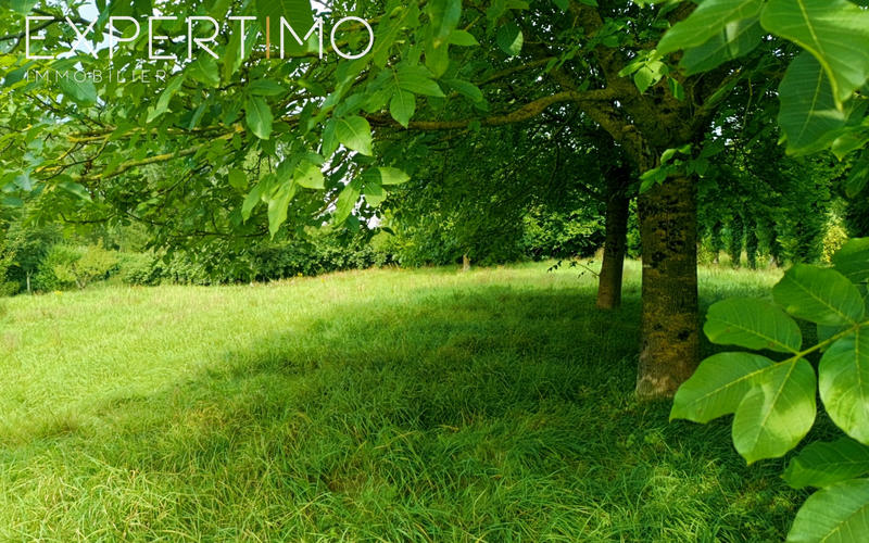 Maison - 210 m² - 9 pièces