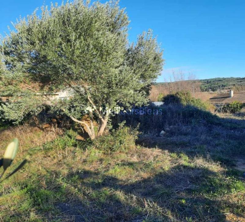 Terrain constructible - 268 m²