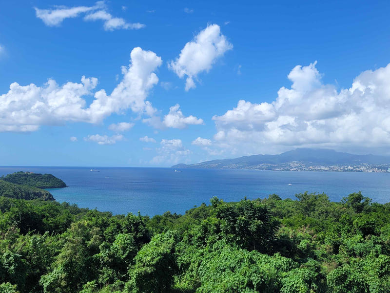 Appartement - 50 m² - 3 pièces