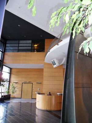 Local commercial - 502 m²