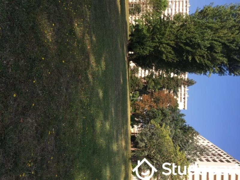 Chambre - 12 m² - 1 pièce