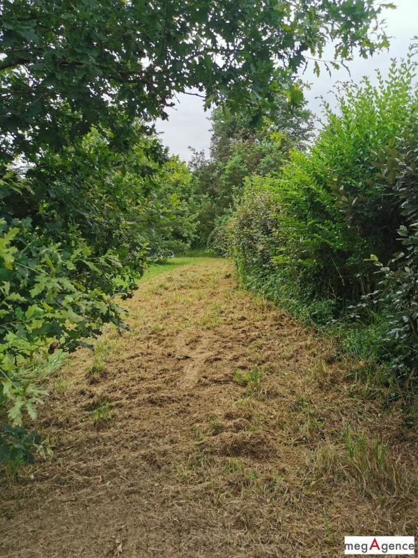 Terrain constructible - 2 388 m²